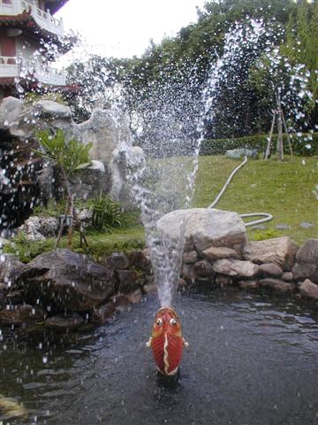 Fish fountain